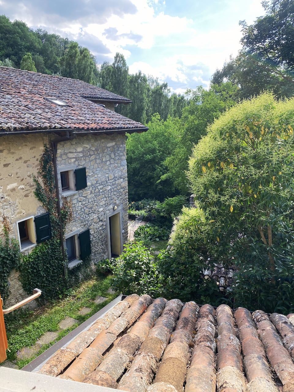 The ivy-clad house seen from above