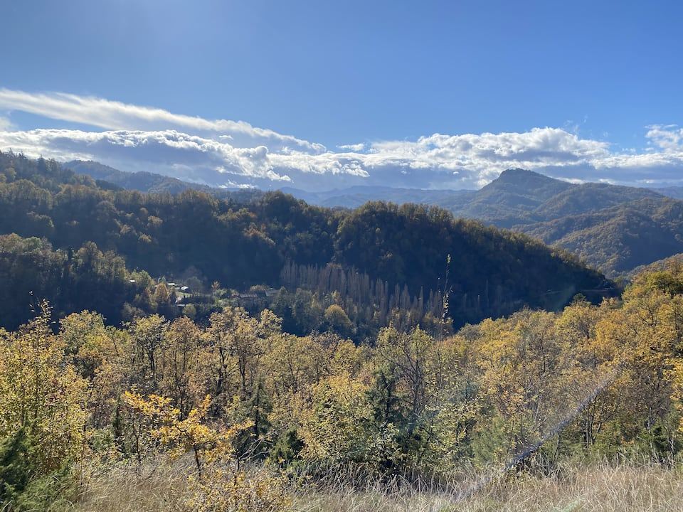 Golden autumn woods across the valley