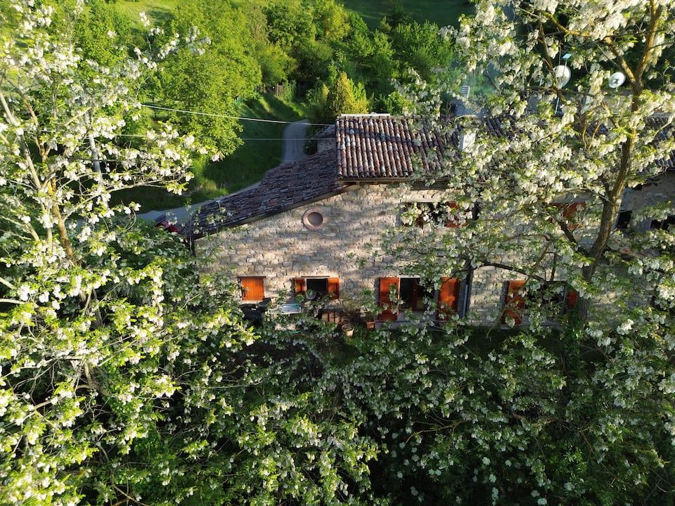 The rooftop among blossoming trees in spring