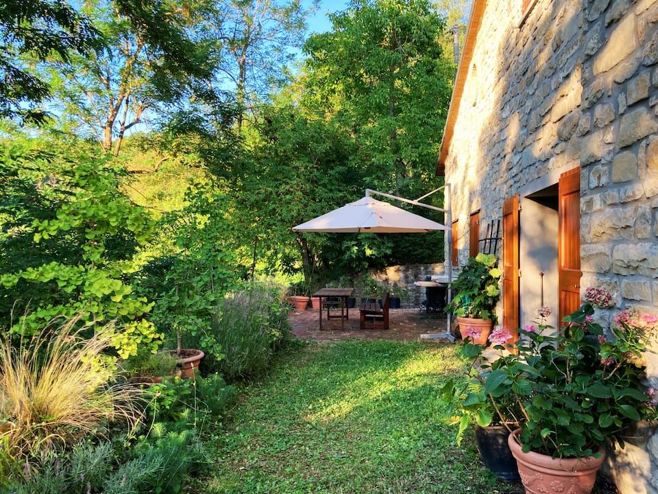 The garden in full summer green with parasol