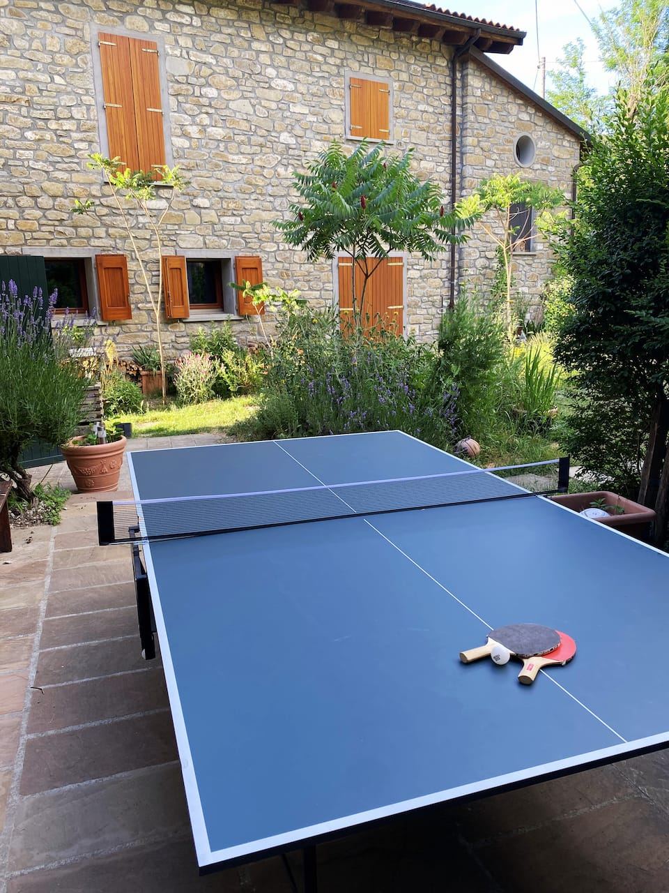 Table tennis in the garden